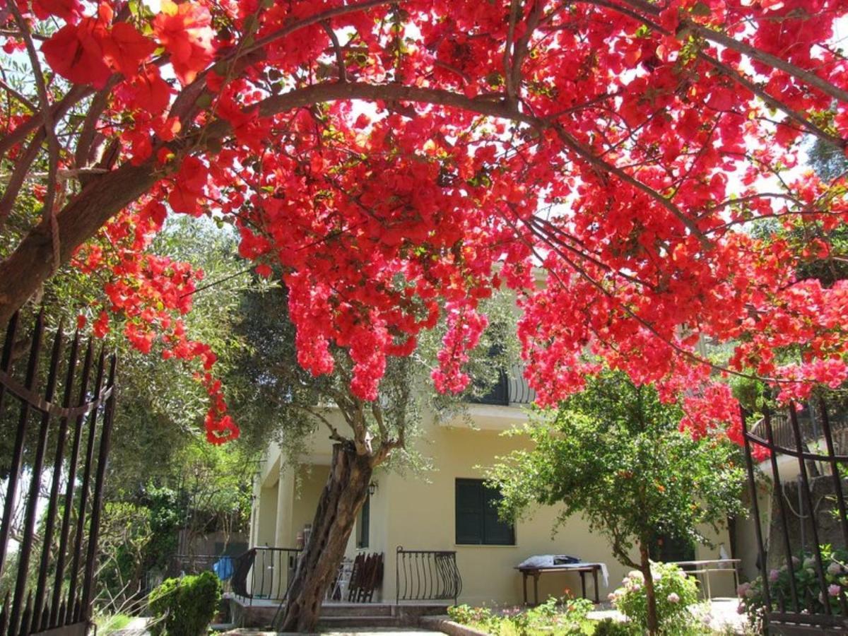 Villa Margarita Агиос-Иоаннис-Перист Экстерьер фото